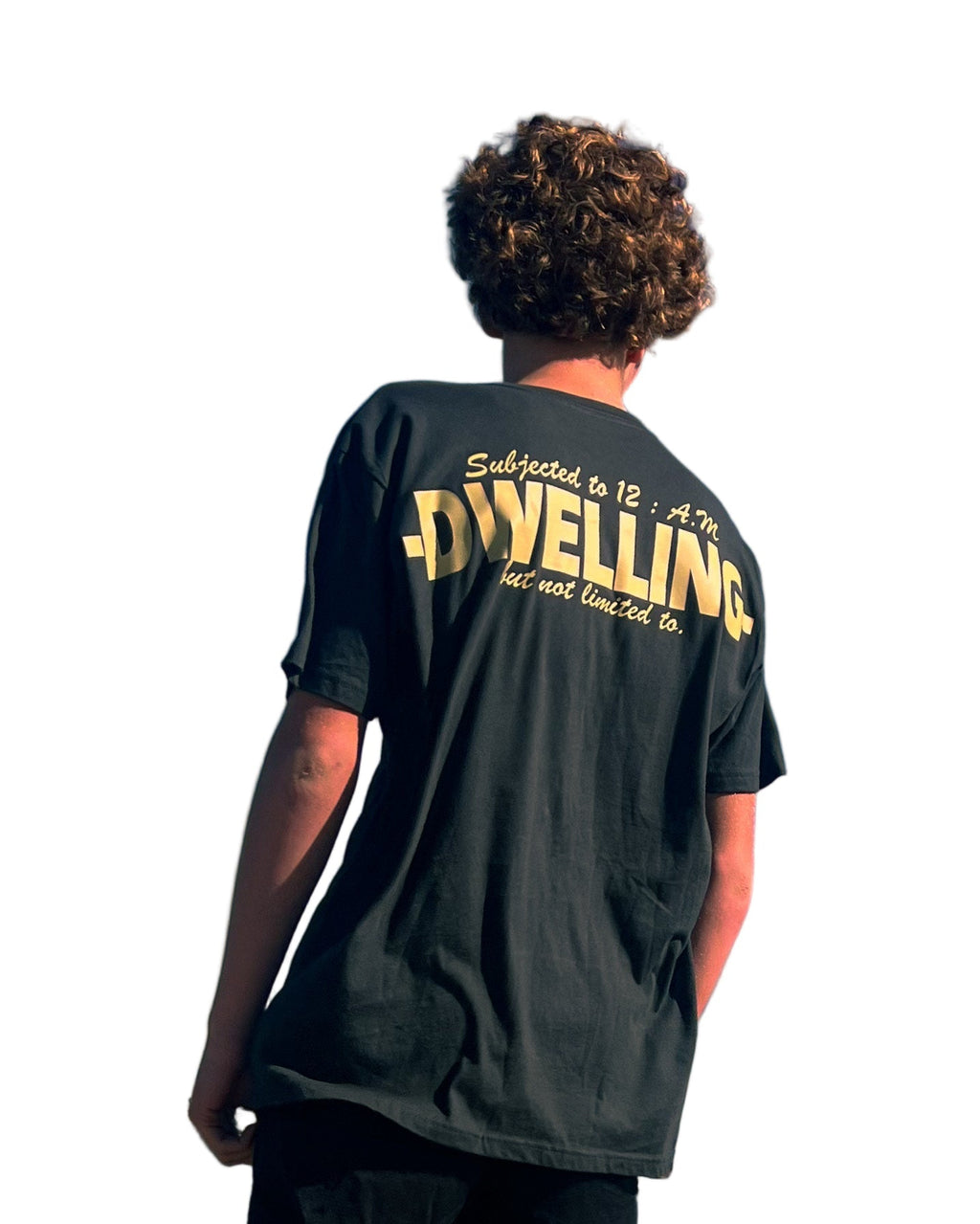 DWELLING Tee Graphite